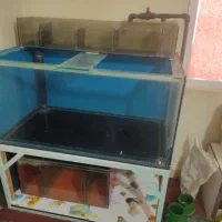 آکواریوم حرفه ای