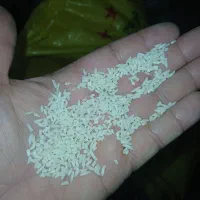 لاشه هاشمی