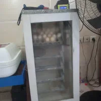 دستگاه جوجه کشی