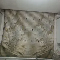 پرده زبرا