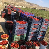 تناژ۲برابری و کیفیت بالا می‌خوای شمارتو بزار