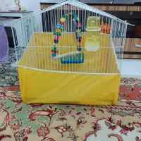 مرغ عشق
