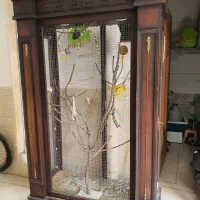 قفس بوفه ای پرنده