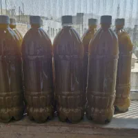 آبغوره خونگی طبیعی ۱ونیم لیتری ۳۰۰تومن