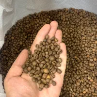 فروش انواع دان قهوه