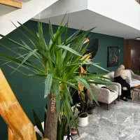 اجاره تخت در آموزشگاه و آرایشگاه زیبایی