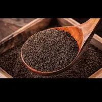 فروش عمده چای کله مورچه ای درجه یک