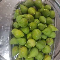 انجیر|خوردنی و آشامیدنی|گرگان, |دیوار