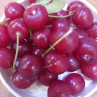 البالو رسمی