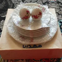 ظروف چینی