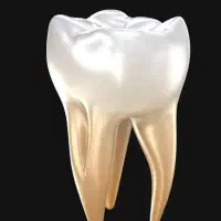 دندان پزشک خوب تو ابهر میشناسین
