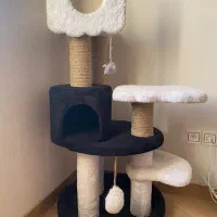 اسکرچر درختی گربه مدل ابر