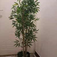 درختچه ی مصنوعی(بامبو) و گلدان سرامیکی