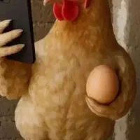 پخش و فروش تخم مرغ محلی+مرغ محلی