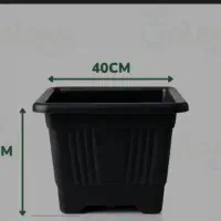 ۵۰ عدد جعبه ۴۰ نو دونه ای ۷۰ تومان