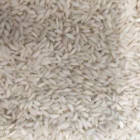 برنج خوزستان