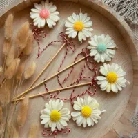 گیفت بابونه