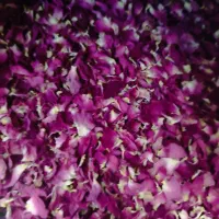 گل محمدی یه کیلو سه ونیم
