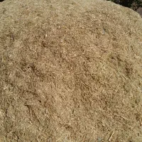 علف|لوازم جانبی حیوانات|سنندج, |دیوار