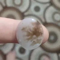 سنگ شجر