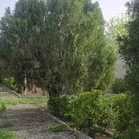 ۴۵۰ مترداخل بافت اقبالیه . کنتور اب برق گاز