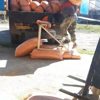 حق  العمل کاری و خرید شالی و جو