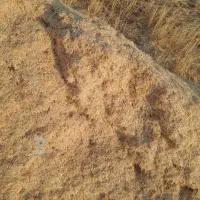 کاه دیم درجه یک