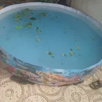 استخر