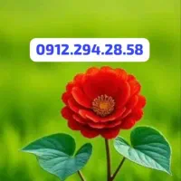 0912.294.28.58 رند پله ای ، سیمکارت طهران