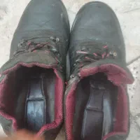 کفش کار