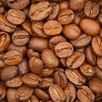 فروش دانه های قهوه ی اربیکا اسپشیالیتی