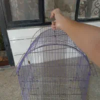 قفس