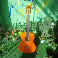 گیتار خوش صدا اکبند