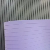 ترمو وال فومی رولی