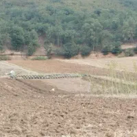زمین-کشاورزی