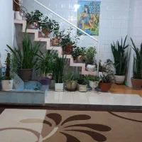 اجاره کوتاه مدت خانه ویلایی در شهر گردشگری قلعه تل