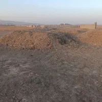 کود مرغی