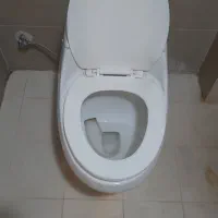 توالت فرنگی وکاسه توالت وفلاشتانک