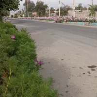 باسلام فروش زمین مسکونی