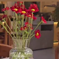 اپیلاسیون حرفه ای