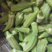 بامیه|خوردنی و آشامیدنی|خواف, |دیوار