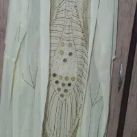 لباس کردی