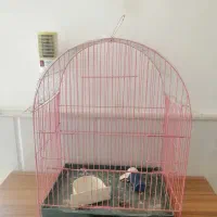 قفس