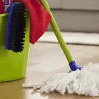 استخدام نیروی خانم