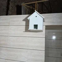 لانه پرنده