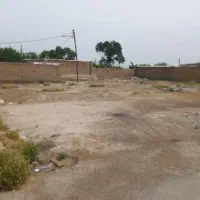 زمین در روستای شیخ حسن