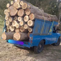 خریدار انواع چوب
