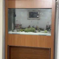 آکواریوم با تمام لوازم جانبی
