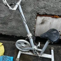 چرخ ورزشی