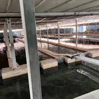 استخدام در پرورش ماهی